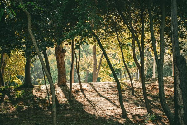 Achat de matériel de fitness pour femmes enceintes