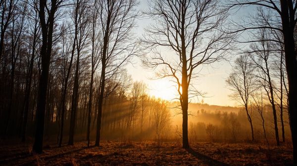 Découvrez la signification profonde de l'heure miroir 21h12